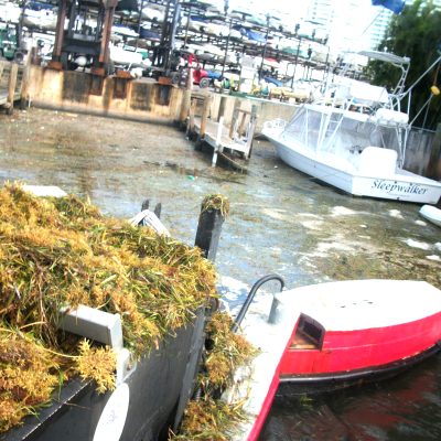 Water Management Technologies Miami Broward Palm Beach Scavenger Vessel